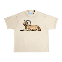 Sandshell Spanish Goat Urban Heavy Tee - LillyAllenDesigns