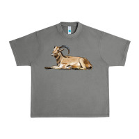 Tornado Spanish Goat Urban Heavy Tee - LillyAllenDesigns