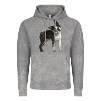 Cloud Rock Boston Terrier Vintage Hoodie - LillyAllenDesigns