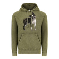 Vintage Olive Boston Terrier Vintage Hoodie - LillyAllenDesigns