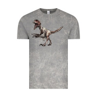 Cloud Rock Deinonychus Vintage Tee - LillyAllenDesigns