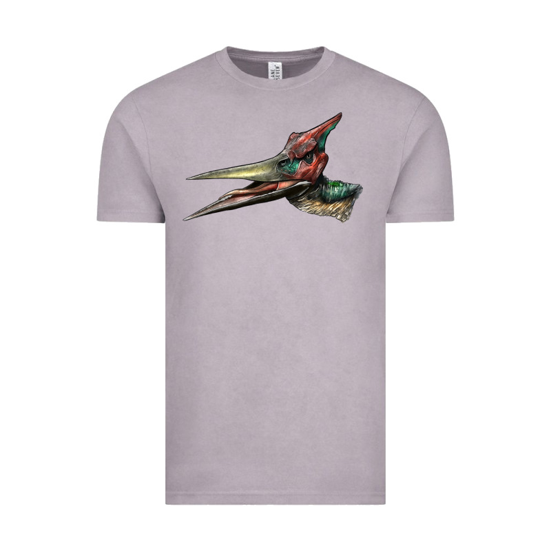 Pteranodon Face Vintage Tee by LillyAllenDesigns | Teevron