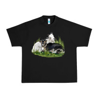 Black two baby nigerian dwarf goat Urban Heavy Tee - LillyAllenDesigns