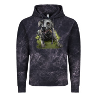 Cloud Black Texas Blue Lacy Dog Vintage Hoodie - LillyAllenDesigns