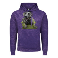 Cloud Purple Texas Blue Lacy Dog Vintage Hoodie - LillyAllenDesigns