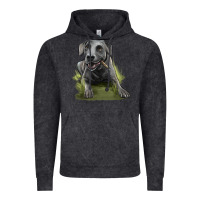 Vintage Arctic Texas Blue Lacy Dog Vintage Hoodie - LillyAllenDesigns