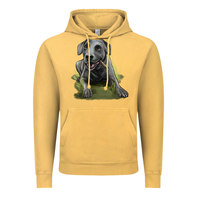 Texas Blue Lacy Dog Vintage Hoodie by LillyAllenDesigns | Teevron