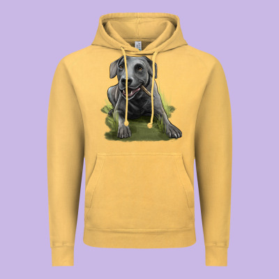 Texas Blue Lacy Dog Vintage Hoodie Designed By Lillyallendesigns