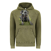 Vintage Olive Texas Blue Lacy Dog Vintage Hoodie - LillyAllenDesigns