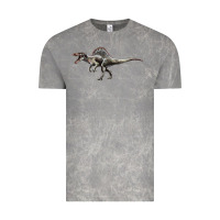 Cloud Rock Spinosaurus Vintage Tee - LillyAllenDesigns