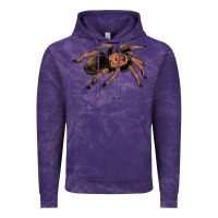 Cloud Purple Mexican Red Knee Tarantula Vintage Hoodie - LillyAllenDesigns