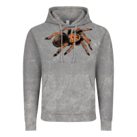 Cloud Rock Mexican Red Knee Tarantula Vintage Hoodie - LillyAllenDesigns