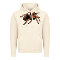 Vintage Artic Mexican Red Knee Tarantula Vintage Hoodie - LillyAllenDesigns