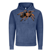 Vintage Denim Mexican Red Knee Tarantula Vintage Hoodie - LillyAllenDesigns