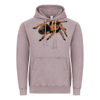 Vintage Zinc Mexican Red Knee Tarantula Vintage Hoodie - LillyAllenDesigns