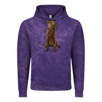 Cloud Purple chesapeake bay retriever Vintage Hoodie - LillyAllenDesigns