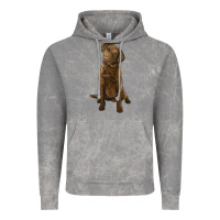 Cloud Rock chesapeake bay retriever Vintage Hoodie - LillyAllenDesigns