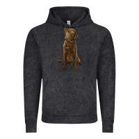 Vintage Black chesapeake bay retriever Vintage Hoodie - LillyAllenDesigns