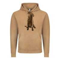 Chesapeake Bay Retriever Vintage Hoodie | Teevron