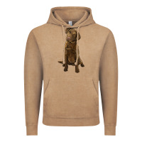 Vintage Coffee chesapeake bay retriever Vintage Hoodie - LillyAllenDesigns