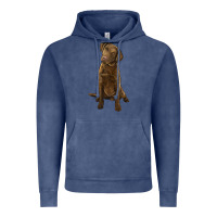 Vintage Denim chesapeake bay retriever Vintage Hoodie - LillyAllenDesigns