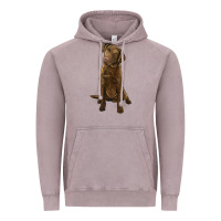 Vintage Zinc chesapeake bay retriever Vintage Hoodie - LillyAllenDesigns