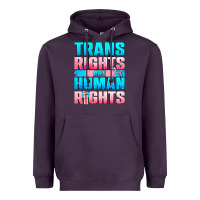 Plum Trans rights are human rights Heavyweight Hoodie - NancyCooperArtShop