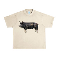 Sandshell berkshire pig Urban Heavy Tee - LillyAllenDesigns