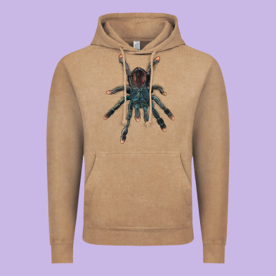 Pink Toe Tarantula Vintage Hoodie Designed By Lillyallendesigns