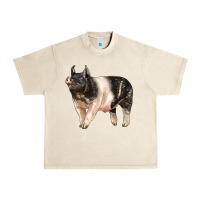 Sandshell hampshire pig Urban Heavy Tee - LillyAllenDesigns