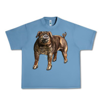 Pebble Blue Duroc Pig Urban Heavy Tee - LillyAllenDesigns