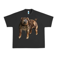 Pigment Black Duroc Pig Urban Heavy Tee - LillyAllenDesigns
