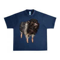 Navy Baby Hampshire Pig Urban Heavy Tee - LillyAllenDesigns