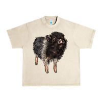 Sandshell Baby Hampshire Pig Urban Heavy Tee - LillyAllenDesigns