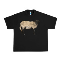 Black Suffolk Sheep Urban Heavy Tee - LillyAllenDesigns