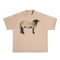 Burro Suffolk Sheep Urban Heavy Tee - LillyAllenDesigns