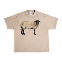 French Oak Suffolk Sheep Urban Heavy Tee - LillyAllenDesigns