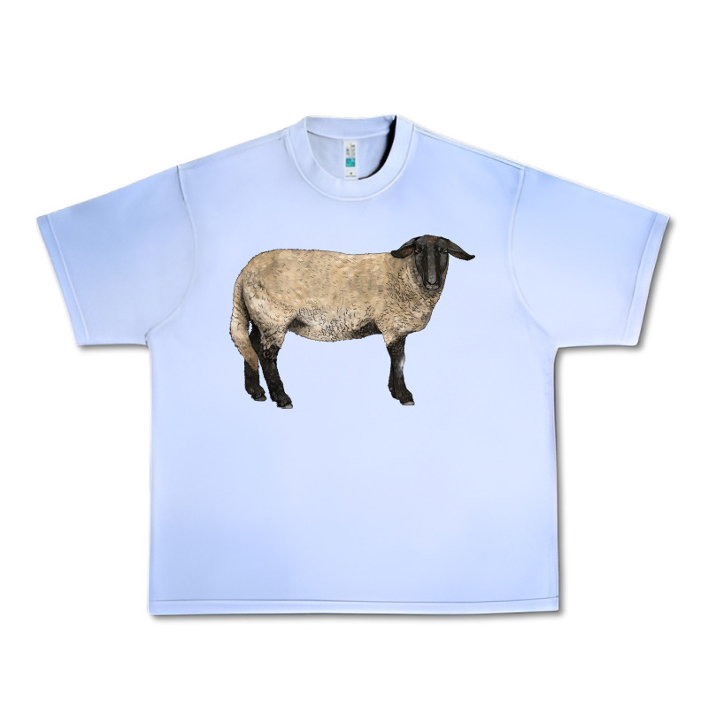 Suffolk Sheep Urban Heavy Tee by LillyAllenDesigns | Teevron