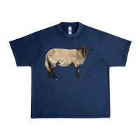 Navy Suffolk Sheep Urban Heavy Tee - LillyAllenDesigns