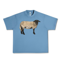 Pebble Blue Suffolk Sheep Urban Heavy Tee - LillyAllenDesigns
