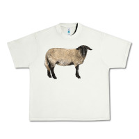 Pistachio Suffolk Sheep Urban Heavy Tee - LillyAllenDesigns