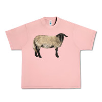 Salmon Suffolk Sheep Urban Heavy Tee - LillyAllenDesigns