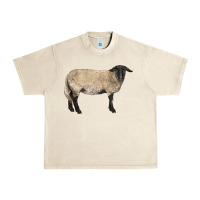 Sandshell Suffolk Sheep Urban Heavy Tee - LillyAllenDesigns