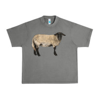 Tornado Suffolk Sheep Urban Heavy Tee - LillyAllenDesigns