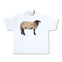 White Suffolk Sheep Urban Heavy Tee - LillyAllenDesigns