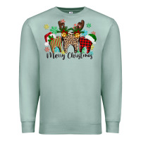 Seafoam Merry Christmas tooth Premium Sweatshirt - texasbilliewilder