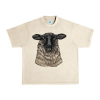 Sandshell Suffolk Sheep Head Urban Heavy Tee - LillyAllenDesigns