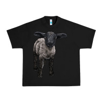Black suffolk baby sheep Urban Heavy Tee - LillyAllenDesigns