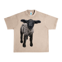 French Oak suffolk baby sheep Urban Heavy Tee - LillyAllenDesigns