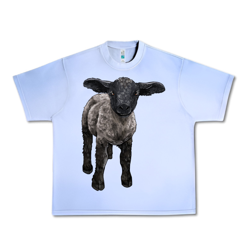 Suffolk Baby Sheep Urban Heavy Tee by LillyAllenDesigns | Teevron